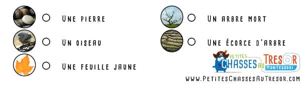 Enquête et jeu de piste à faire dans la forêt