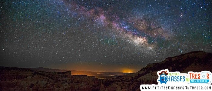 Apprendre à apprendre grâce à l'exemple de la nature