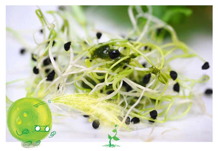 Activité amusante pour les enfants