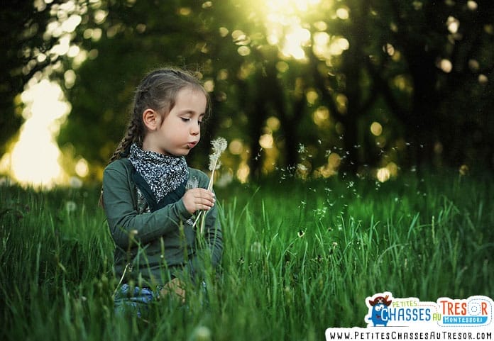 une enfant en pleine nature qui ramasse des pissenlits
