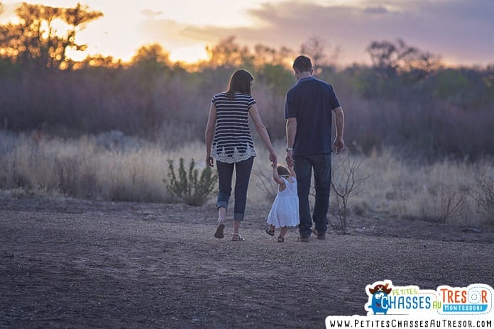 balade dans la nature au bord d'un bois