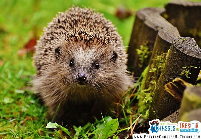 hersions dans les villes