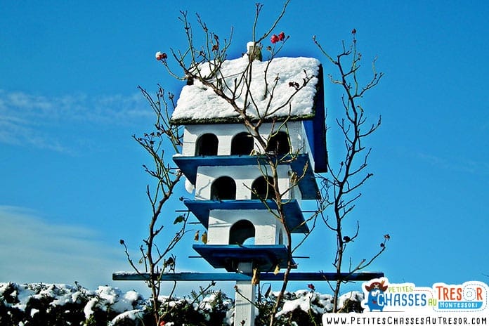 Nichoir à oiseau pour l'hiver