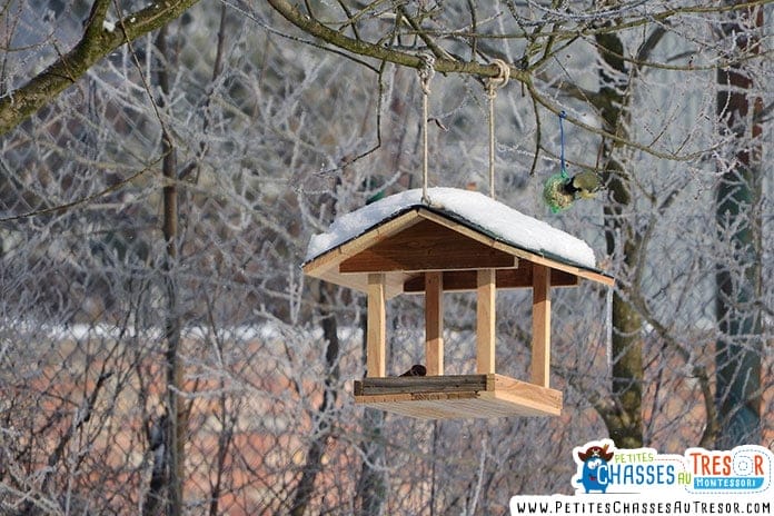 Mangeoire pour oiseau en hiver