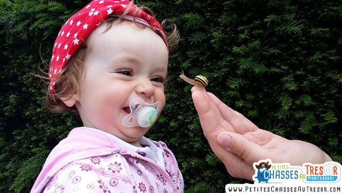 un enfant découvre un escargot dans la nature
