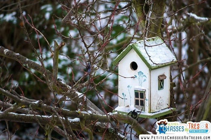 Plan pour fabriquer un maison à oiseaux