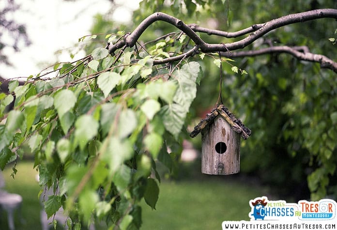 Fabriquer un nichoir à suspendre dans un arbre