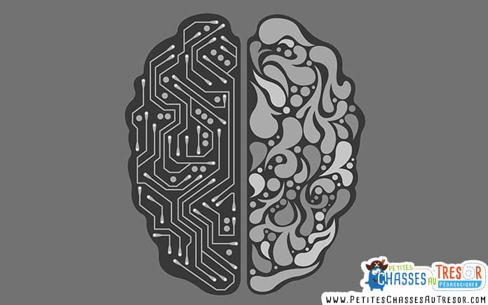 Nous avons deux cerveaux