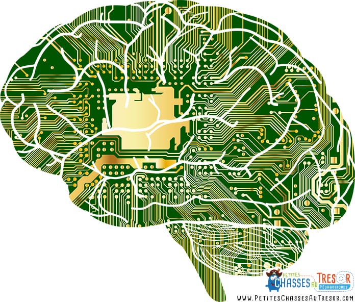 Les cerveaux des enfants à haut potentiel