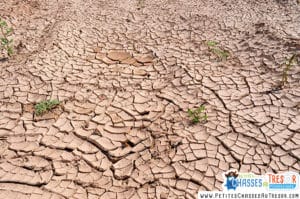 Réchauffement climatique enfants