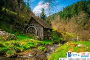 ecole nature école dans la nature