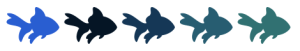 couleur poisson d'avril requin