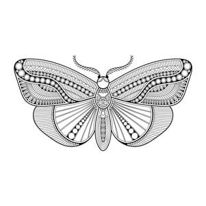 coloriage papillon 04