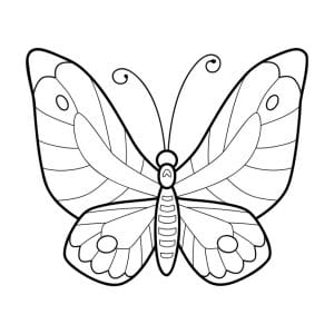 coloriage papillon 06